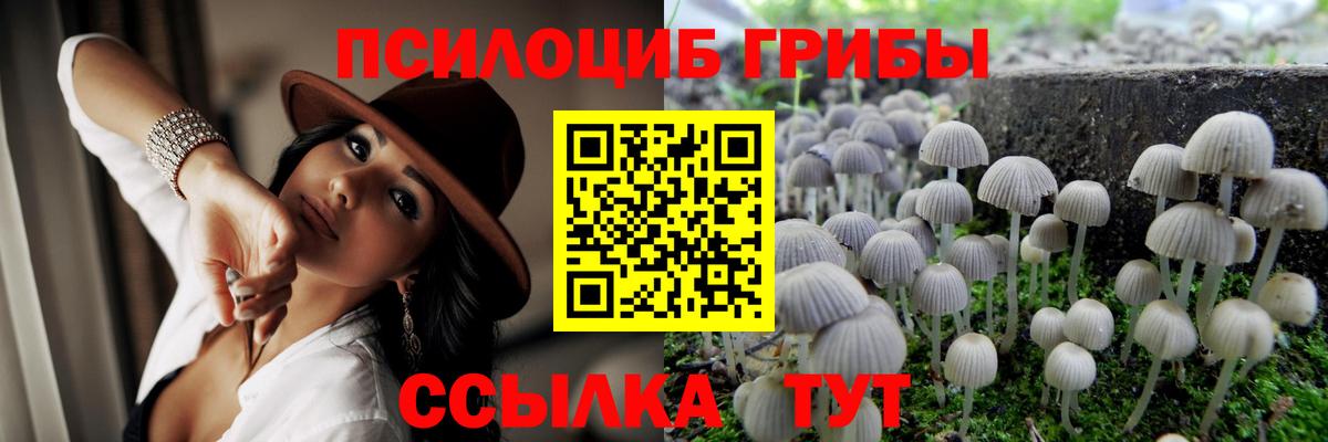 Алапаевск  Галлюциногенные грибы Psilocybine cubensis  Галлюциногенные грибы Magic Shrooms  Вход с VPN 